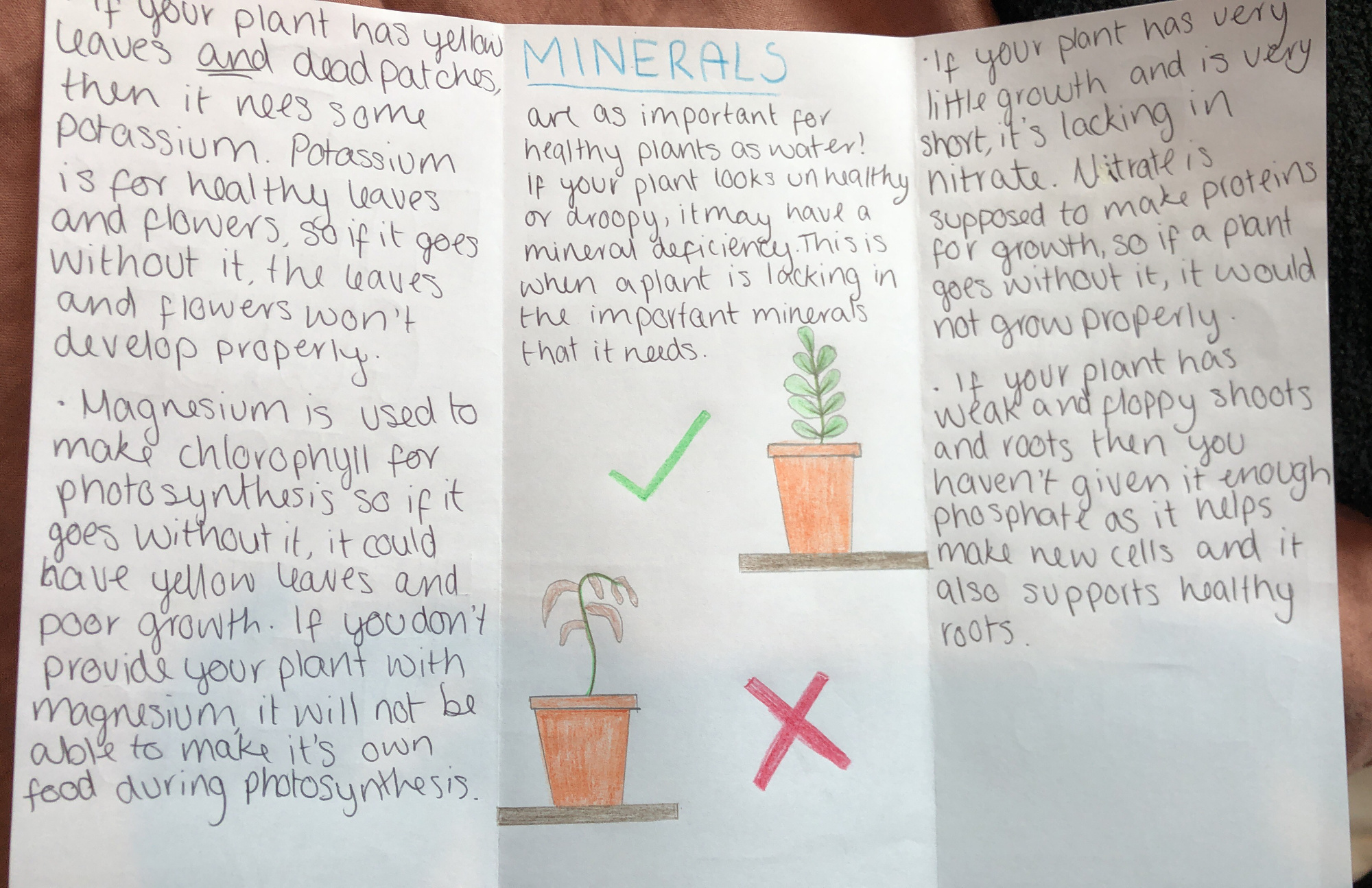 year 8 science - minerals