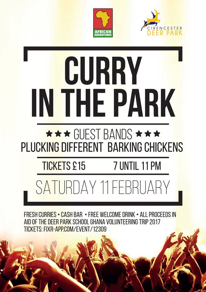 curry in the park poster