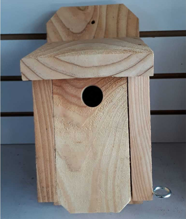 bird box sam