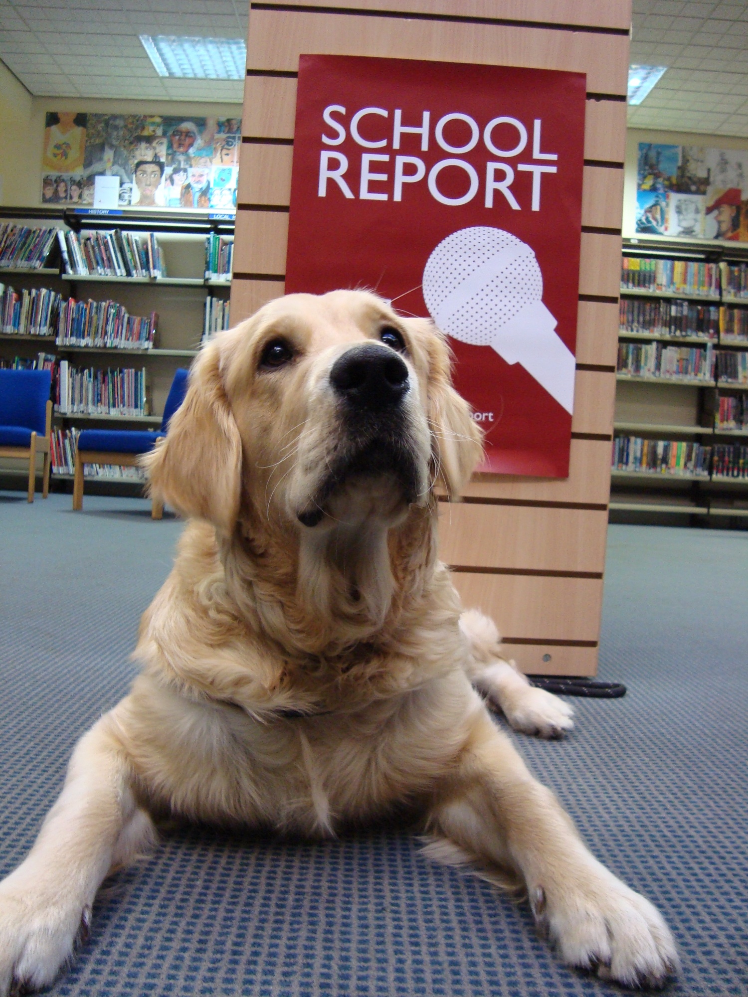 Cosmo, Our School Dog, BBC News School Report, March 2017