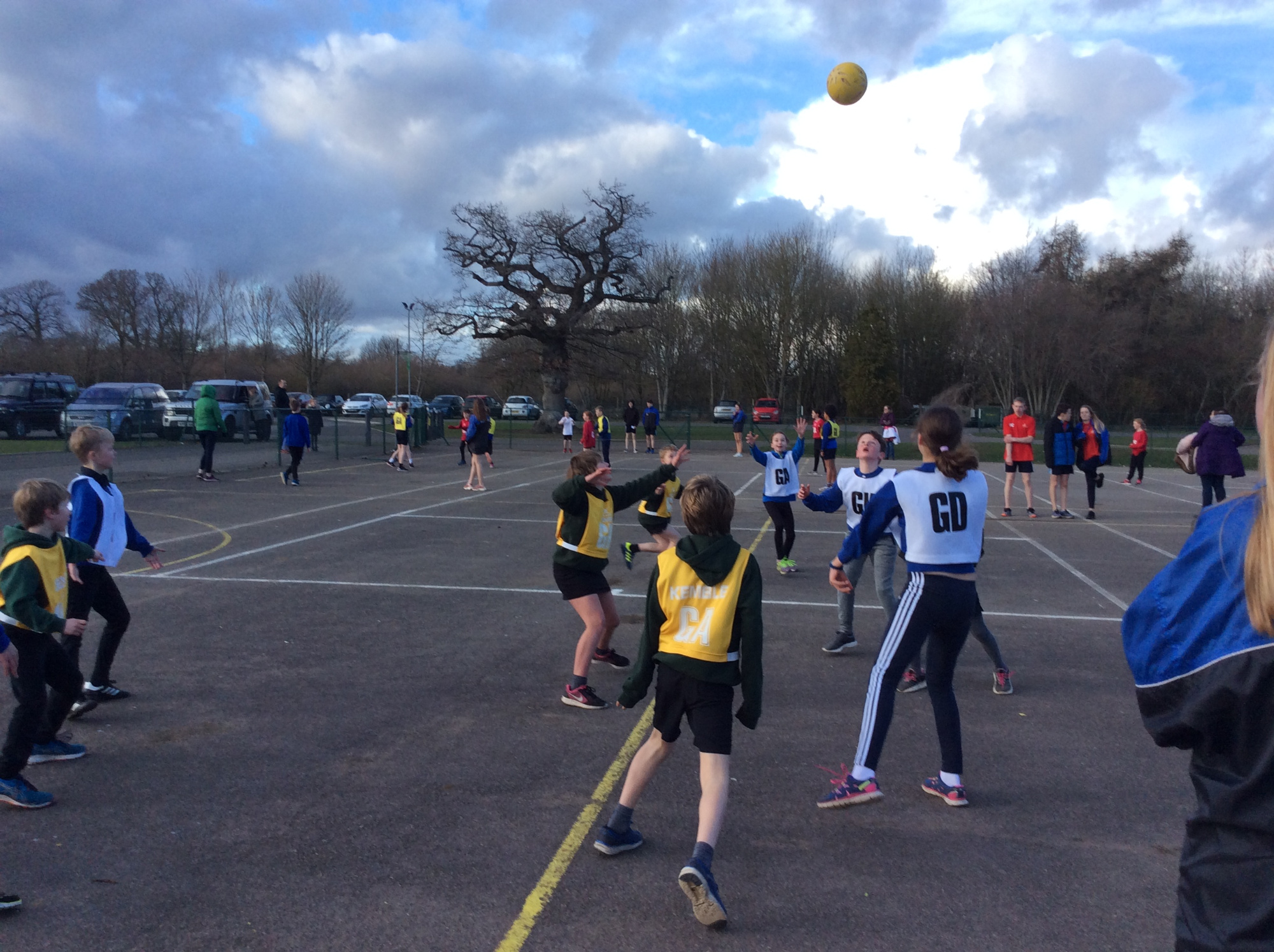 primary sport netball march 2019