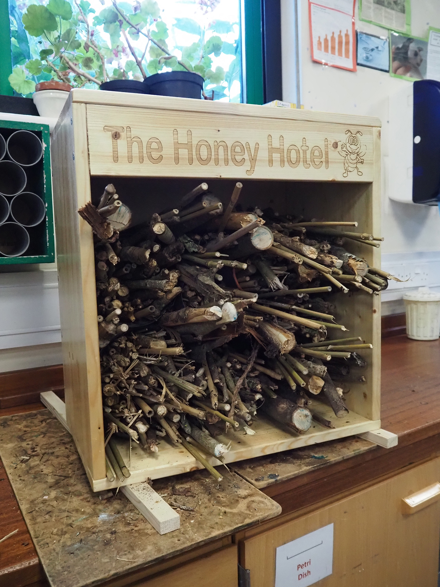 year 8 build a bee hotel