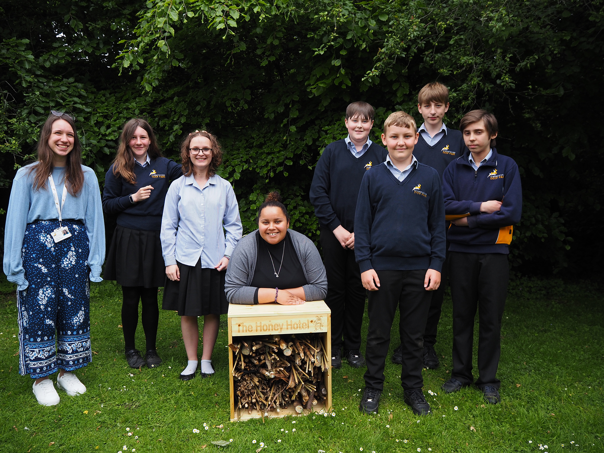 year 8 build a bee hotel