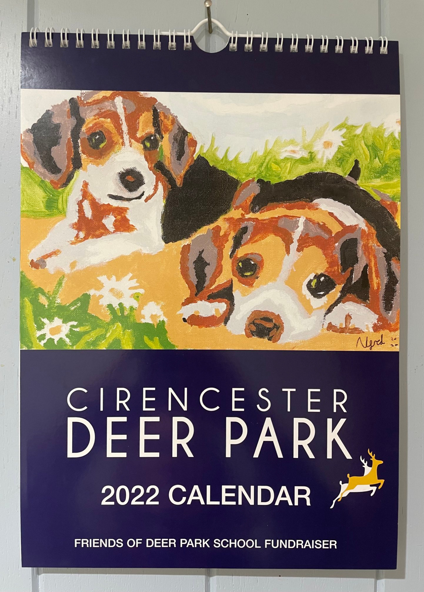 Cirencester Deer Park School 2022 Calendar Pets Animals